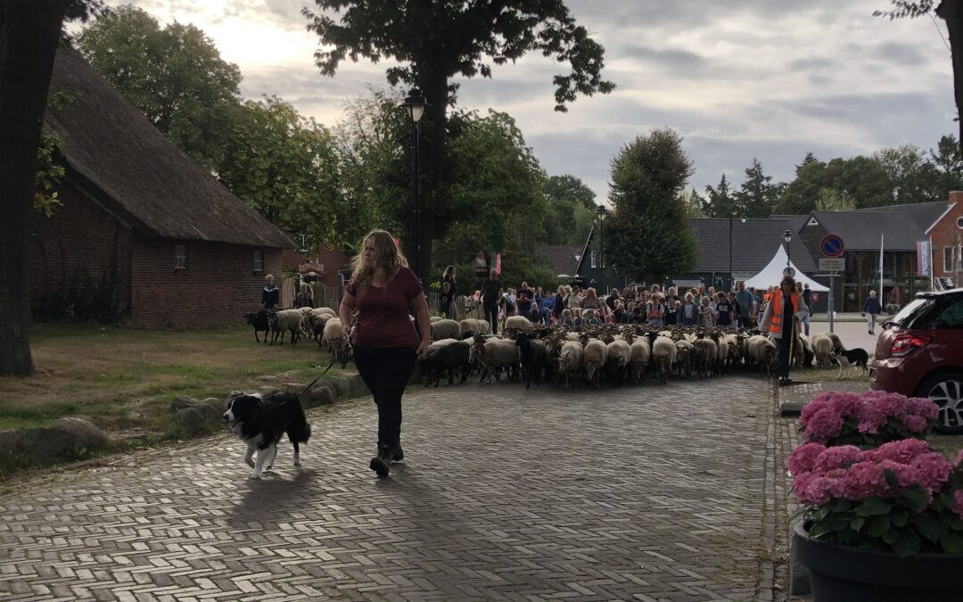 Met 600 trappelende hoefjes het nieuwe schooljaar in………………