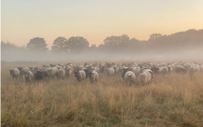 De temperaturen lopen weer op: we vertrekken maandag en dinsdag weer om 6 uur!