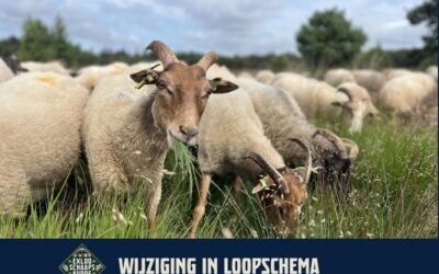 Wijziging in loopschema 12 t/m 20 juni 2025, geen vertrek en aankomst bij de kooi!