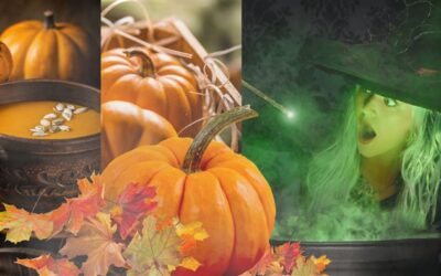 Herfst Fair Hexloo op het plein bij de Schaapskudde Exloo Shop en Hallenhoes