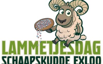 Kom je ook op kraamvisite en een beschuit met muisjes eten op onze Lammetjesdag 22 februari 2026?