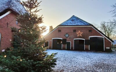 Een nieuw jaar en New Years Iev geboren