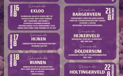Drentse Heidedagen 2026
